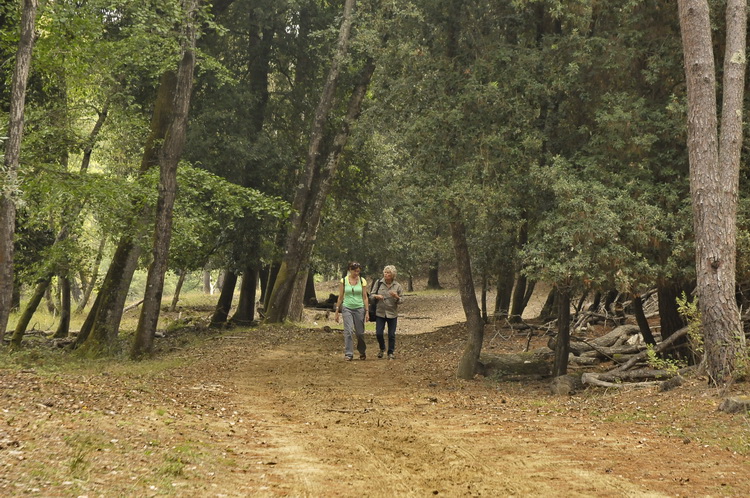 Tenuta di San Rossore - Riserva del Paduletto